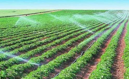 大鸡吧操逼嗯嗯叫视频农田高 效节水灌溉